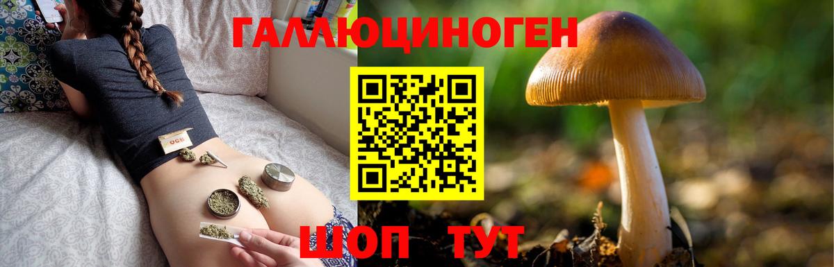 Галлюциногенные грибы Magic Shrooms  Вход с VPN  Якутск 